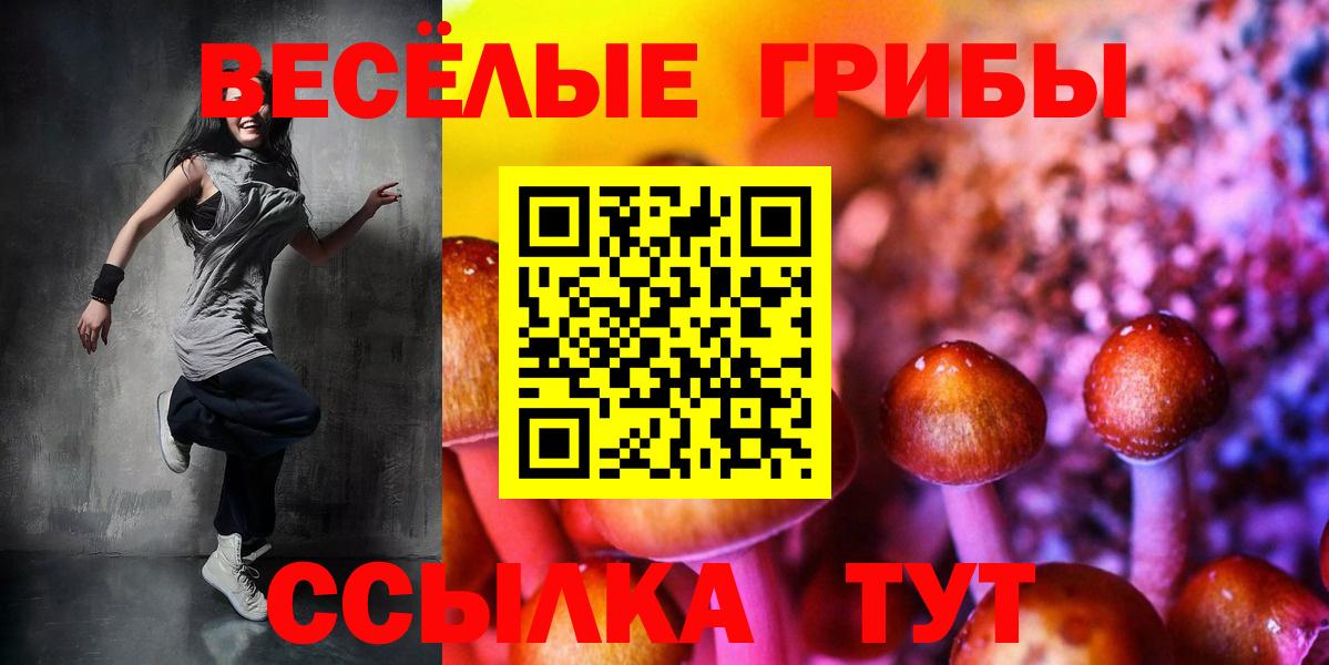 Псилоцибиновые грибы Cubensis  Псилоцибиновые грибы ЛСД  Кумертау  Вход с VPN 