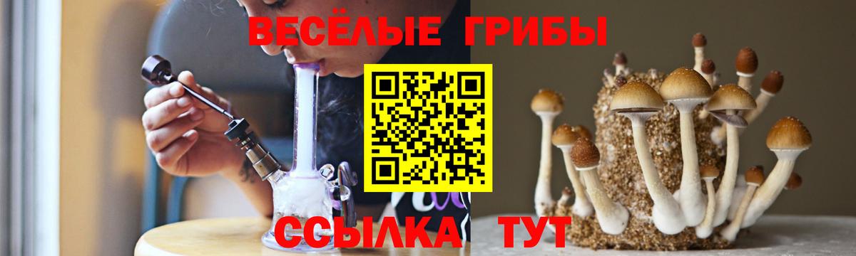 Псилоцибиновые грибы Psilocybe Кумертау